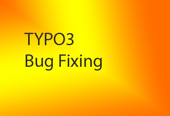 I will do typo3 bug fixing