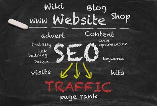 I will do website SEO and traffic generation