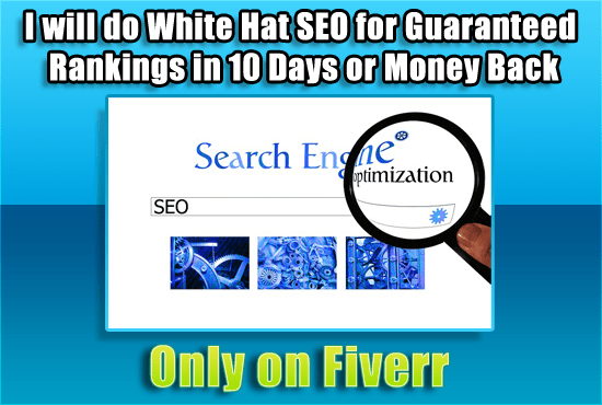 I will do white hat SEO for guaranteed rankings