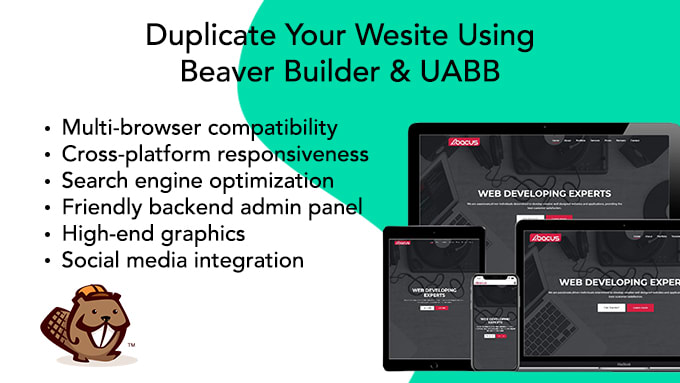 I will duplicate your website with beaver builder and uabb