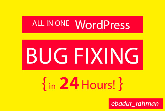 I will fix any wordpress bug in 24 hours