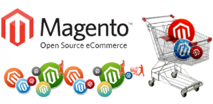 I will fix bugs, install theme, anything in magento all version
