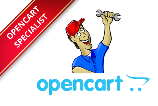 I will fix, move, customize or develop opencart