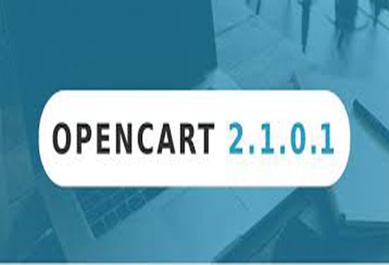 I will fix your opencart bug site