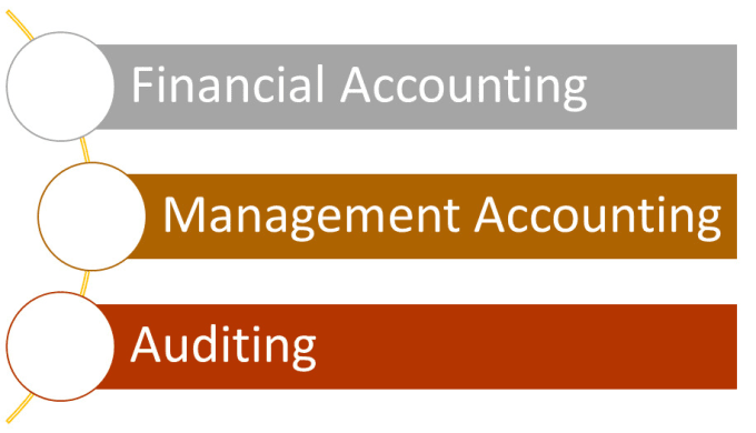 I will give help on accounting, audit and management