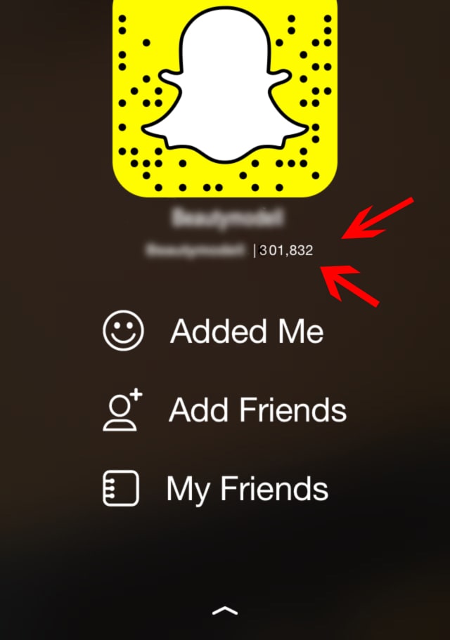 I will give you a shoutout on my 30k snapchat followers