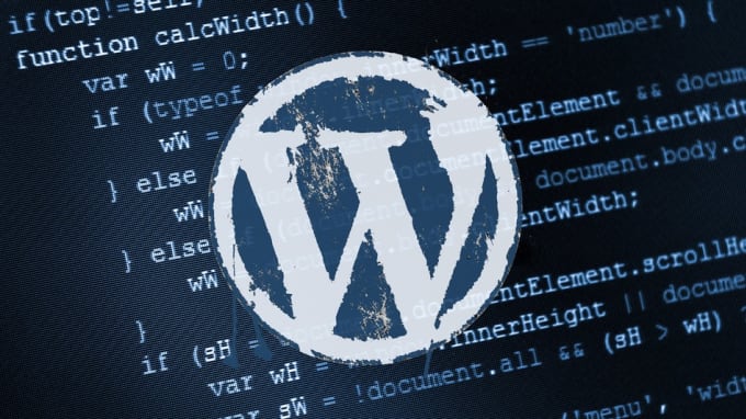 I will help you manage your WordPress installation and issues with my experience