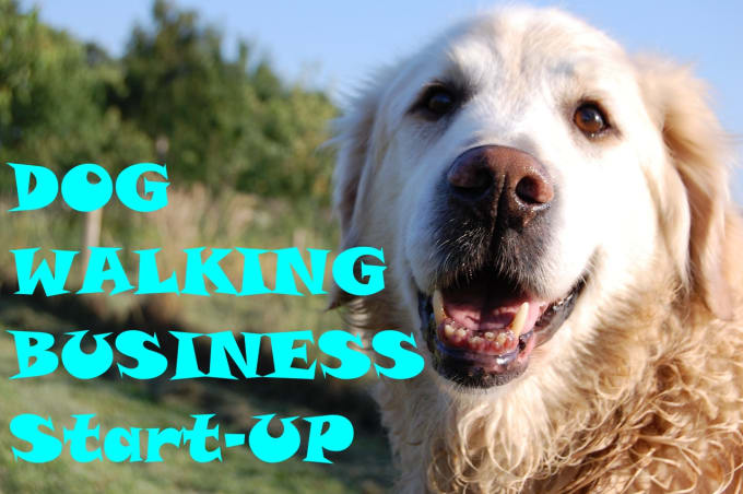 I will help you set up your own dog walking business