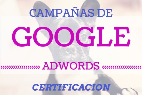 I will help you with your adwords campaign