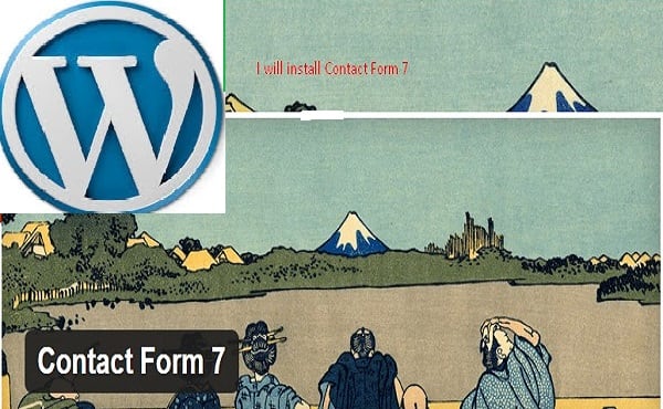 I will install Contact Form 7 on your website