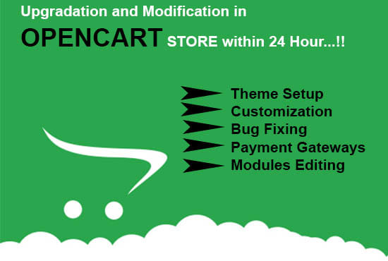 I will install upgrade, fix opencart store