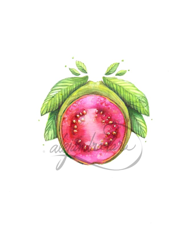 I will make illustrations of plants, fruits and organic things