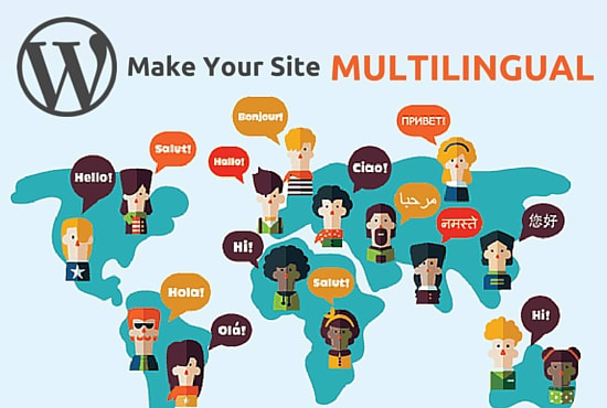 I will make your wordpress site multilingual