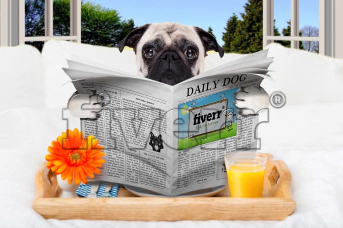 I will put your dog logo in newspaper with funny puppy  dog