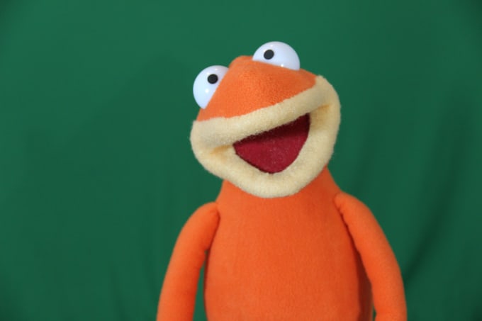 I will record a custom puppet video about anything