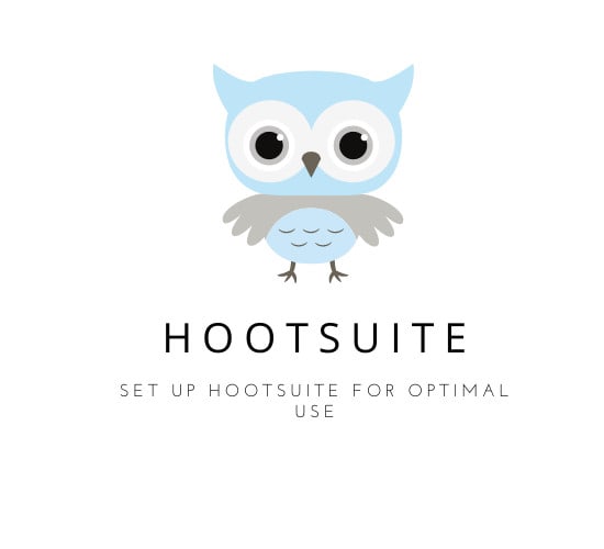 I will set up your hootsuite for more efficient sm management