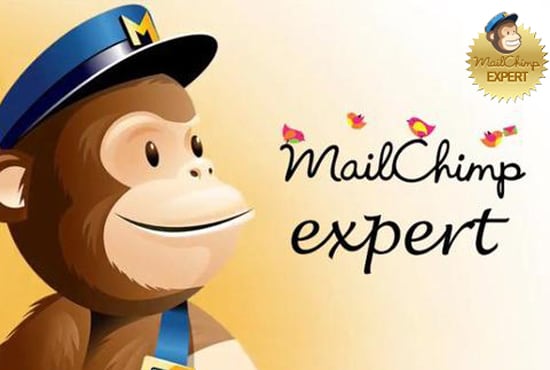 I will work as a mailchimp expert