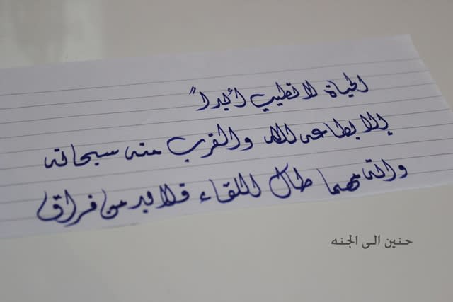 I will write a perfect letter in arabic language