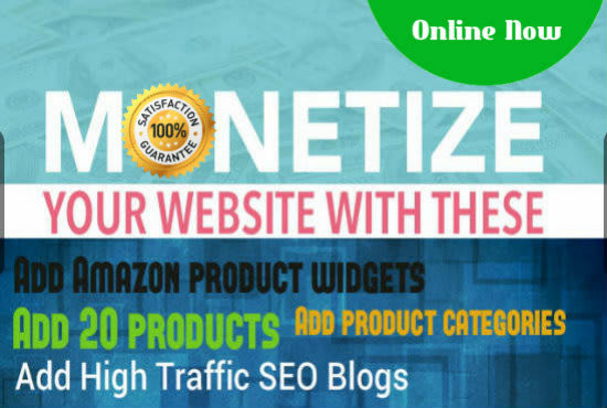 I will add affiliate amazon widgets or products on your website