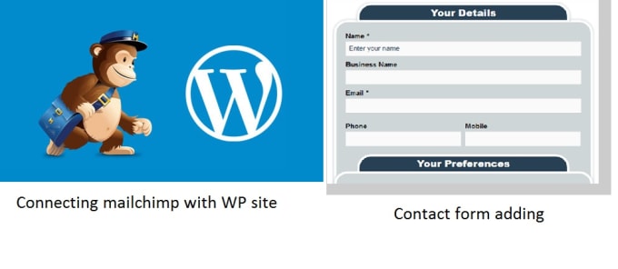 I will add contact form 7 or gravity forms, connect with mailchimp