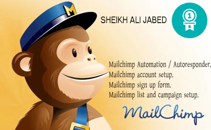 I will be you Mailchimp Expert