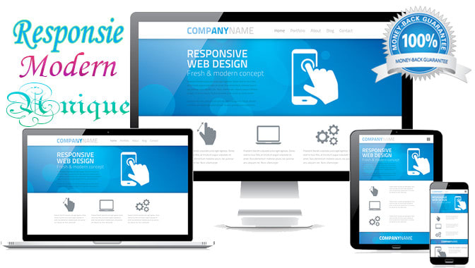 I will create a design and develop responsive modern website