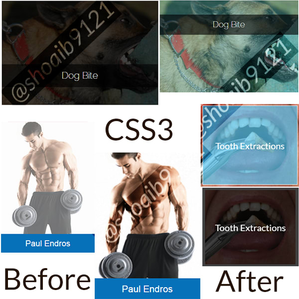 I will create bootstrap HTML5 and CSS3 Transitions