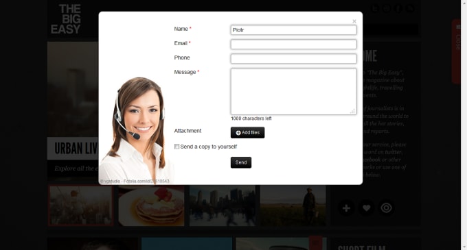 I will create custom contact or subscribe form in wordpress website