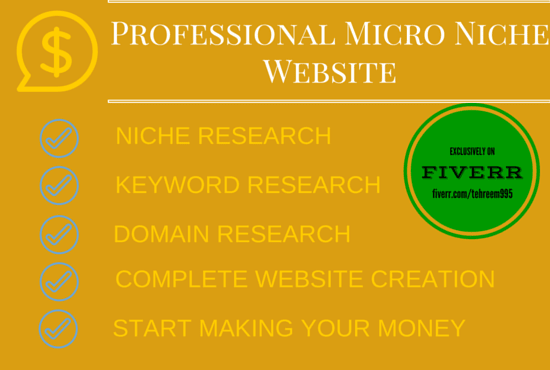 I will create professional micro niche website
