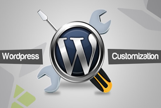 I will customize your wordpress site homepage or other pages