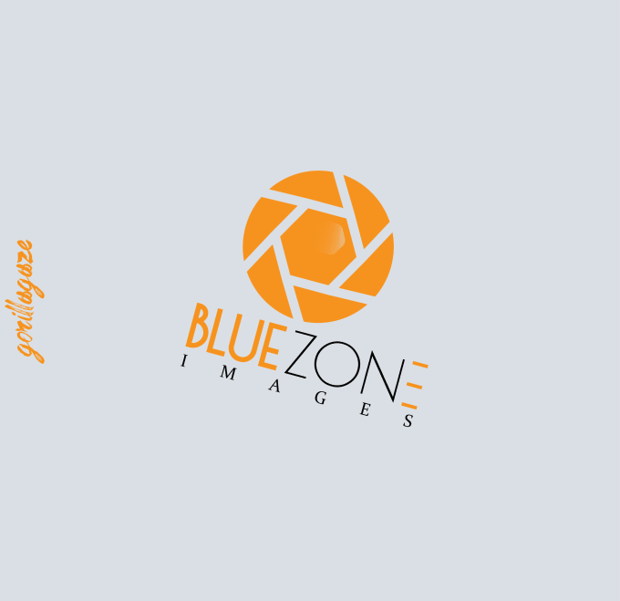 I will design a logo for your business or website