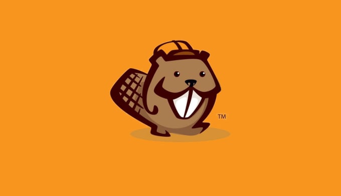 I will design your wordpress website using beaver builder