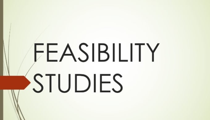 I will do a feasibility study and give you a business plan