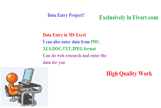 I will do data entry project