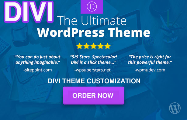 I will do your divitheme customization, Divi03 page builder fix css