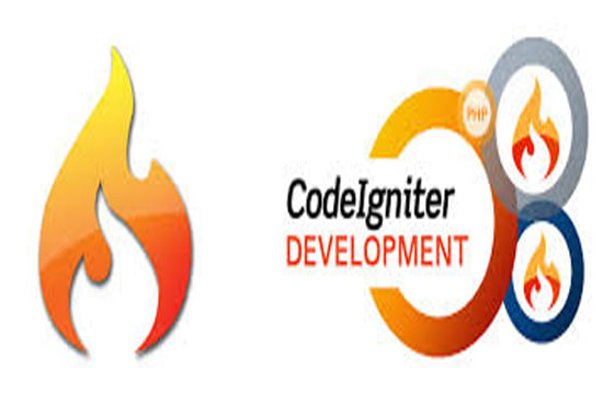 I will fix and develop websites in codeigniter