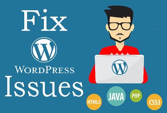 I will fix any wordpress website problem and errors