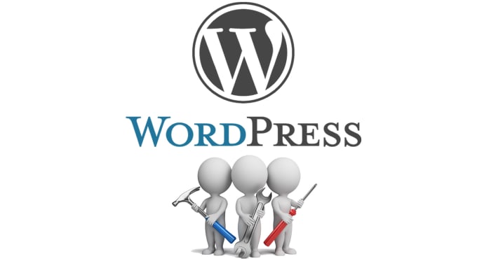 I will fix wordpress bugs, solve wordpress issues, wordpress work