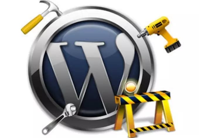 I will fix your Wordpress Issues