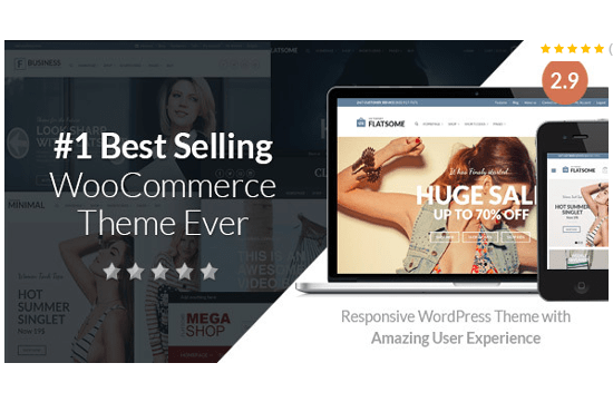 I will install and customize flatsome woocommerce theme