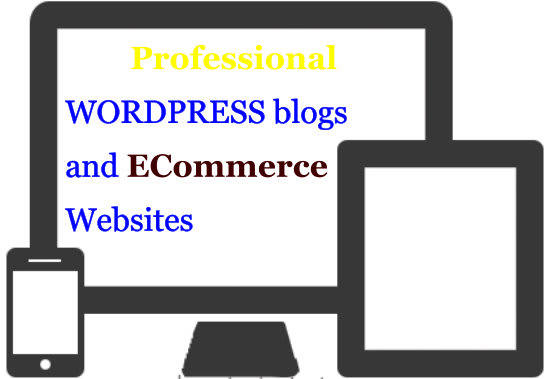 I will make a professional wordpress website