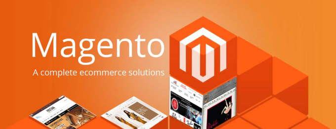 I will make and update magento website