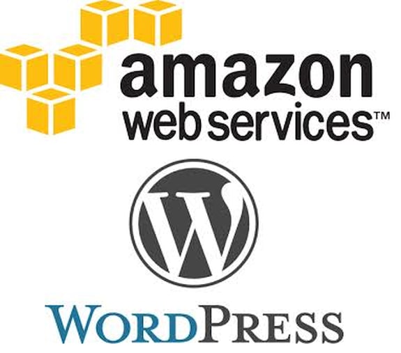 I will migrate your wordpress site to AWS or google cloud