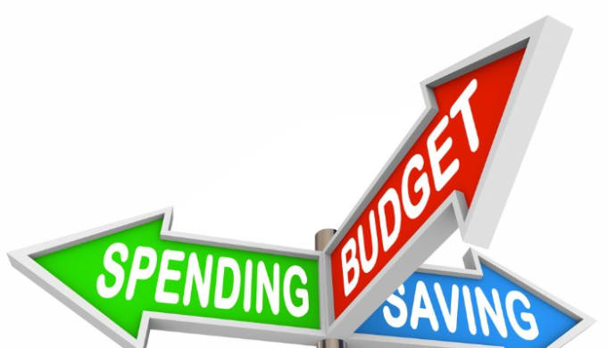 I will prepare monthly and annual budgets for your business