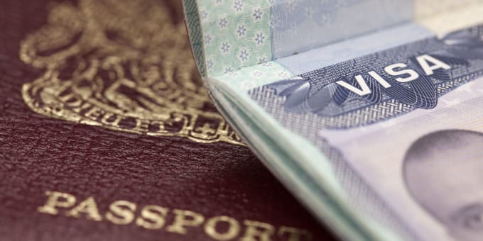 I will provide expert visa and immigration advice