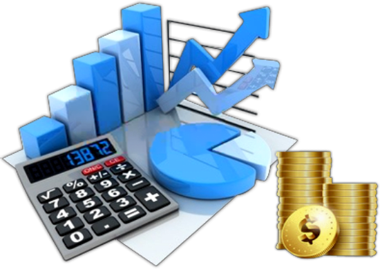 I will provide online accounting software