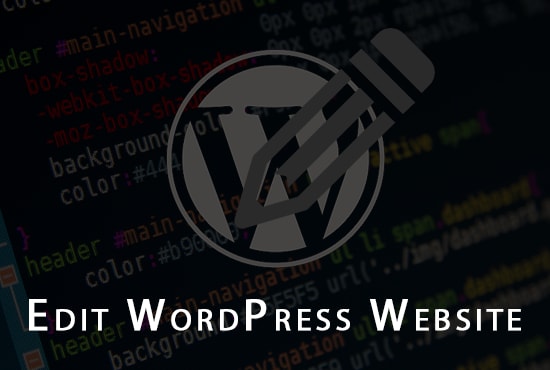 I will quickly edit your wordpress website