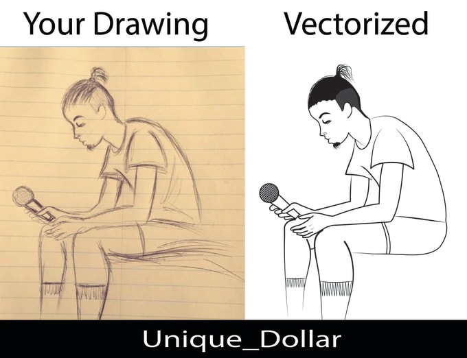 I will redraw vector tracing your image