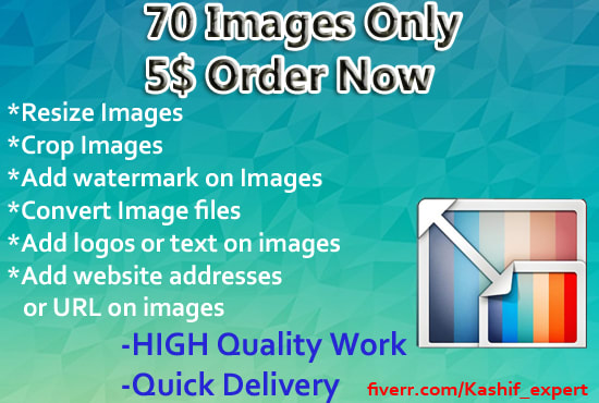 I will resize,convert,add watermark,logo,text for your bulk images