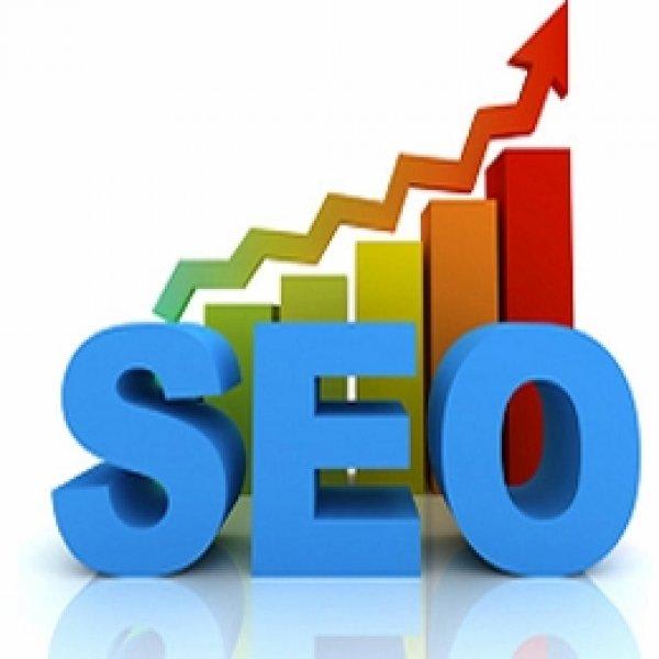I will search Engine Optimisation service